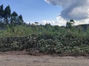 Terreno / Lote para Venda em Rio Negrinho/SC São Pedro