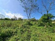 Terreno / Lote para Venda em Rolante/RS Rolantinho