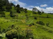 Terreno / Lote para Venda em São Bento do Sapucaí/SP Centro