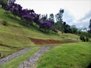 Terreno / Lote para Venda em São Bento do Sapucaí/SP Centro