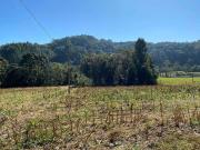 Terreno / Lote para Venda em São Bento do Sul/SC Centenário