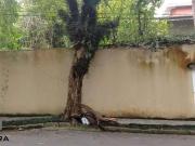 Terreno / Lote para Venda em São Bernardo do Campo/SP...