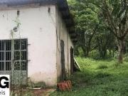 Terreno / Lote para Venda em São Bernardo do Campo/SP...