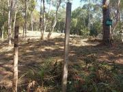Terreno / Lote para Venda em São Bernardo do Campo/SP...