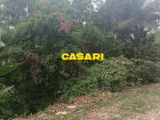 Terreno / Lote para Venda em São Bernardo do Campo/SP...