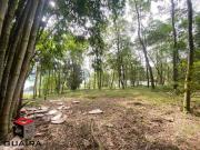 Terreno / Lote para Venda em São Bernardo do Campo/SP...