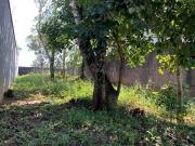 Terreno / Lote para Venda em São Bernardo do Campo/SP...