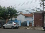 Terreno / Lote para Venda em São Caetano do Sul/SP Nova...