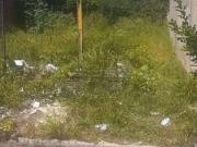 Terreno / Lote para Venda em São Carlos/SP Cidade Aracy