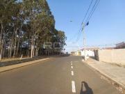 Terreno / Lote para Venda em São Carlos/SP Jardim Araucária