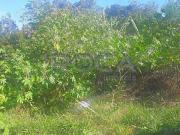 Terreno / Lote para Venda em São Carlos/SP Jardim Brasil