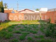 Terreno / Lote para Venda em São Carlos/SP Jardim de Cresci