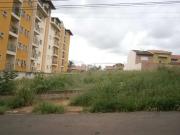 Terreno / Lote para Venda em São Carlos/SP Jardim Gibertoni
