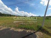 Terreno / Lote para Venda em São Carlos/SP Jardim Guanabara