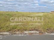 Terreno / Lote para Venda em São Carlos/SP Jardim Ipanema