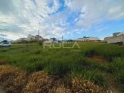 Terreno / Lote para Venda em São Carlos/SP Jardim Santa...