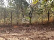 Terreno / Lote para Venda em São Carlos/SP Monjolinho