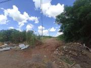 Terreno / Lote para Venda em São Carlos/SP Parque Industrial