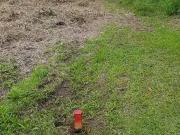 Terreno / Lote para Venda em São Francisco do Sul/SC...