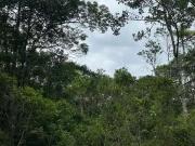 Terreno / Lote para Venda em São Francisco do Sul/SC...