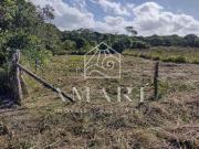 Terreno / Lote para Venda em São Francisco do Sul/SC...