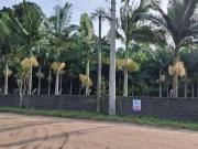 Terreno / Lote para Venda em São Francisco do Sul/SC...