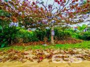 Terreno / Lote para Venda em São Francisco do Sul/SC...