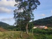 Terreno / Lote para Venda em São Francisco do Sul/SC...