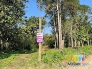 Terreno / Lote para Venda em São Francisco do Sul/SC São...