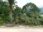 Terreno / Lote para Venda em São Francisco do Sul/SC...