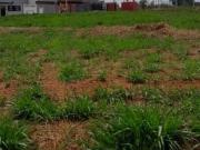 Terreno / Lote para Venda em São José do Rio Preto/SP...