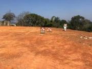 Terreno / Lote para Venda em São José dos Campos/SP...