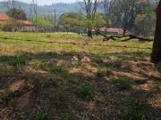Terreno / Lote para Venda em São José dos Campos/SP... Terreno / Lote para Venda em São José dos Campos/SP...