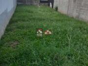 Terreno / Lote para Venda em São José dos Campos/SP...