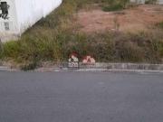 Terreno / Lote para Venda em São José dos Campos/SP...