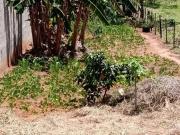 Terreno / Lote para Venda em São José dos Campos/SP...