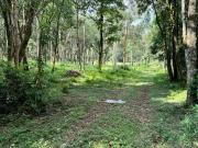 Terreno / Lote para Venda em São José dos Pinhais/PR...