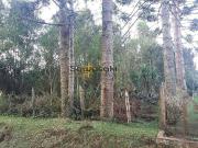 Terreno / Lote para Venda em São José dos Pinhais/PR Rio...