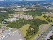 Terreno / Lote para Venda em São José dos Pinhais/PR Roseira