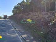 Terreno / Lote para Venda em São José/SC Forquilhas