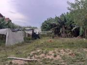 Terreno / Lote para Venda em São Leopoldo/RS Scharlau