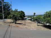 Terreno / Lote para Venda em São Leopoldo/RS Scharlau
