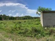 Terreno / Lote para Venda em São Miguel dos Milagres/AL...