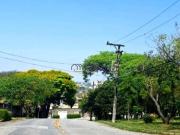 Terreno / Lote para Venda em São Paulo/SP Butantã