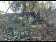 Terreno / Lote para Venda em São Paulo/SP Butantã