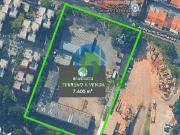 Terreno / Lote para Venda em São Paulo/SP Butantã