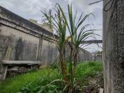 Terreno / Lote para Venda em São Paulo/SP Valo Velho