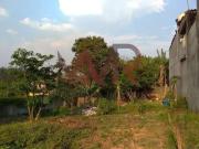 Terreno / Lote para Venda em São Paulo/SP Colônia