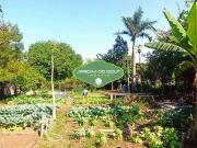 Terreno / Lote para Venda em São Paulo/SP Guarapiranga