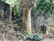 Terreno / Lote para Venda em São Paulo/SP Horto 1 Quartos